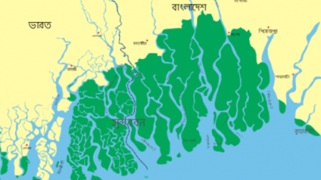 যৌথভাবে সুন্দরবন রক্ষা করবে বিজিবি-বিএসএফ