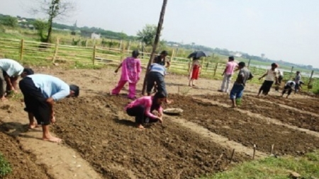 কৃষি নিয়ে পড়া, কৃষিতে পেশা