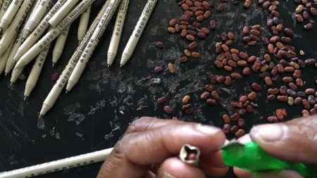 কলম থেকেই জন্মাবে গাছ!