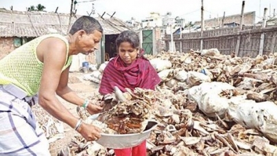 কোরবানির উচ্ছিষ্ট থেকে আয় শত কোটি টাকা