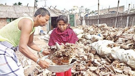 কোরবানির উচ্ছিষ্ট থেকে আয় শত কোটি টাকা