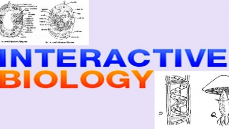 জীববিজ্ঞানের ভয় কাটাতে