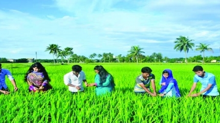 পড়ি কৃষি অর্থনীতি