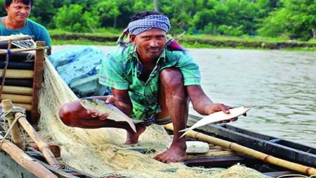 ইলিশে রূপালি স্বপ্ন