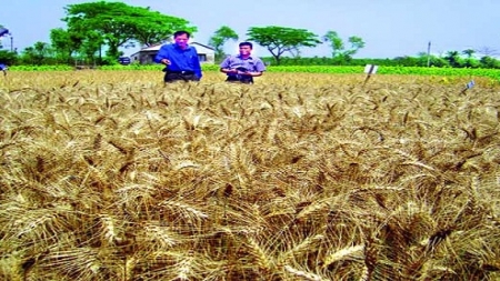 বাংলাদেশি বিজ্ঞানীর অনন্য সফলতা