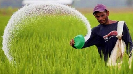 ‘এ’ কার্ডে লাঘব ফরিদপুরের কৃষকের দুশ্চিন্তা