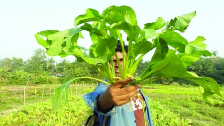 শিক্ষিত তরুণ যখন কৃষক