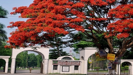 ইবির ‘জি’ ইউনিটের ফল প্রকাশ