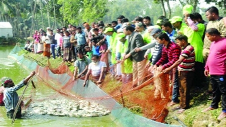 গল্পটা মাছচাষী মোহসীনের