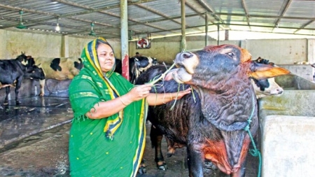 ছিলেন গৃহবধূ, এখন সফল উদ্যোক্তা