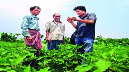 কৃষি অর্থনীতিতে বহুমাত্রিক কর্মক্ষেত্র