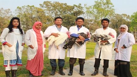 পশুপালন গ্র্যাজুয়েটদের যত কর্মক্ষেত্র