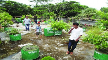 চরফ্যাশনে বিদ্যালয়ের ছাদে ফল ও সবজি বাগান