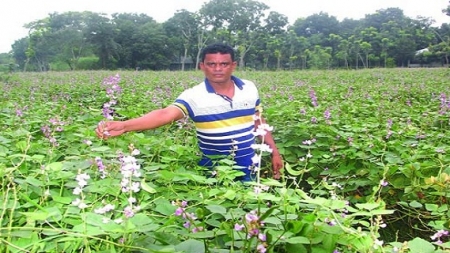 শিমে ঘুচছে বেকারত্ব