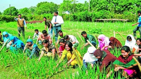 কৃষিতে ক্যারিয়ার