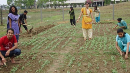 পছন্দ যখন কৃষি