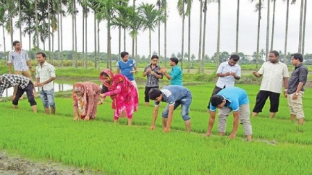 চলো কৃষি পড়ি