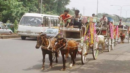 গল্পটা ব্যস্ততাময় বৃদ্ধ শহরের